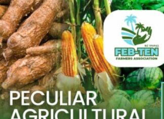 Farmer’s Body, FEBTEN, Launches Subsidised Agric Investment Scheme