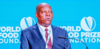 Education, skills development panacea for poverty, hunger – Shettima