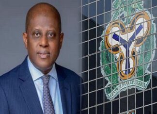 CBN Set to Curb Inflation, Stabilize Economy, Says Cardoso