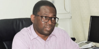 Captain David Olubadewo: Navigating The Skies With Skill And Valour