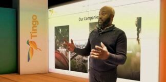 Tingo CEO, Dozy Mmobuosi Charged For Fraud In US