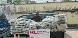 NDLEA Seizes Large Consignment Of Canadian Loud, UK, Italy-bound opioids in Lagos