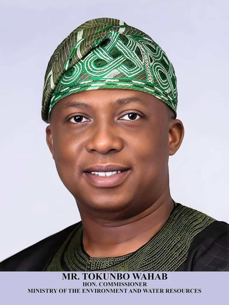 Culture of Excellence in the Centre of Excellence: The Tokunbo Wahab Charge | By Sola FAJOBI