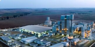 Who The Cap Fits… Dangote Cement Wins Environmental Sustainability Award