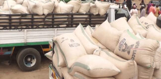 Over 30 Routes For Smuggling Food Out Of Nigeria Discovered, Says VP Shettima