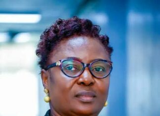 Rekhiat Momoh: Rise of an Amazon in the Power Sector