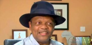 Nigerian Tycoon Atedo Peterside Loses $3.4million From Stanbic IBTC Stake