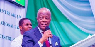 Tinubu Administration: Nigeria’s economy growing – Wale Edun