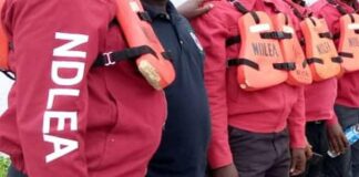 How NDLEA in Kano arrested 1,345 suspects, seized 8.4m kg of drugs in 2024