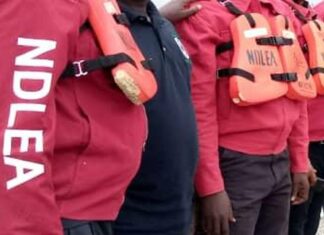 Billion-Naira Drug Bust: NDLEA Seizes N6.5bn Worth of Opioids, Nabs British Smugglers in Multi-State Crackdown