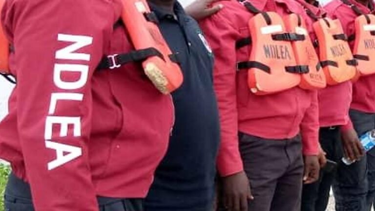 Billion-Naira Drug Bust: NDLEA Seizes N6.5bn Worth of Opioids, Nabs British Smugglers in Multi-State Crackdown