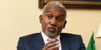 FX Crisis Delaying Ambassadorial Appointments, Says Foreign Affairs Minister