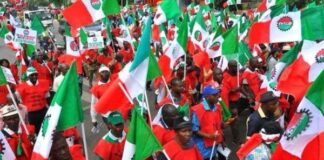 Labour Strike, WAEC, IPOB: The Timing is Wrong |By Victor Ojelabi