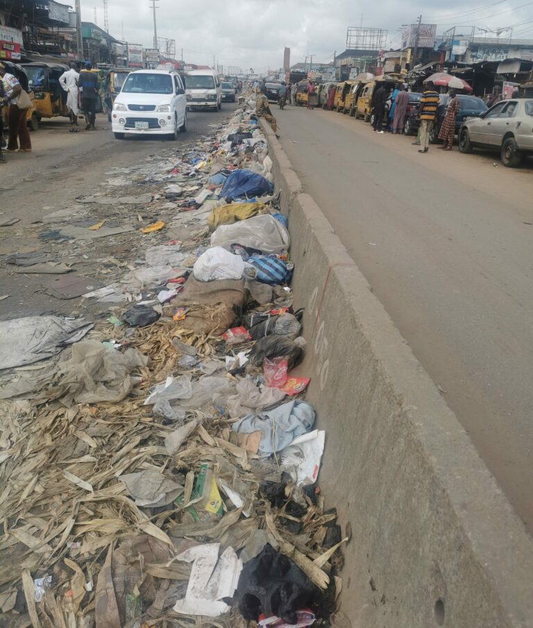 Attention Ogun Ministry of Environment: Outbreak of disease looms in Sango-Otta as heaps of uncleared refuse litter