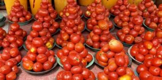 High Cost of Tomato, Pepper Caused By Insecurity, Other Factors – Mile 12 Market Chair