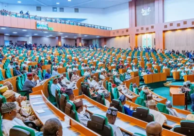 Federal House of Representative – newsheadline247