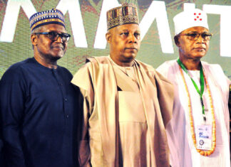 Global Economic Downturn: Dangote Harps On Protection Of Local Industries