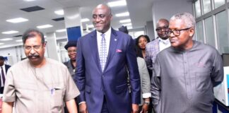 Domestic refining will address fuel scarcity, queue – NBA