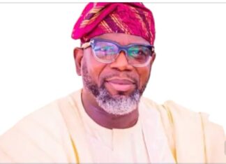 ‘Ado-Odo/Ota LG Deserves Recognition’ – Segun Ojolowo-Ojuko Writes President Tinubu
