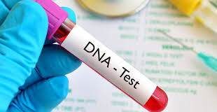 Smart DNA Report: 1 in 4 Nigerian men tested are not biological fathers