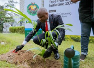 UBA Foundation Promotes Africa’ Green Revolution, Pledges One Million Trees In A Year