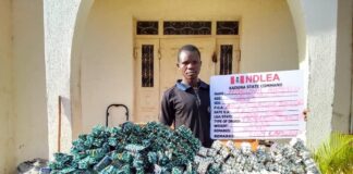 NDLEA Intercepts N17.9billion Bottles Of Opioids, 31 Million Pills at Lagos, PH Ports
