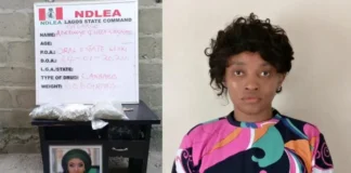 Wanted Ex-Beauty Queen Turns Herself In After Eight Months in Hiding – NDLEA