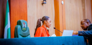 Girl Child Day: 16-Year-Old Isabel Anani Presides Over Reps Plenary