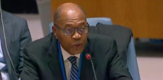 Dangote Refinery Would Propel Africa Out of Poverty, Says AU’s Ibn Chambas