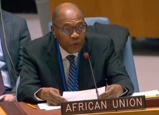 Dangote Refinery Would Propel Africa Out of Poverty, Says AU’s Ibn Chambas