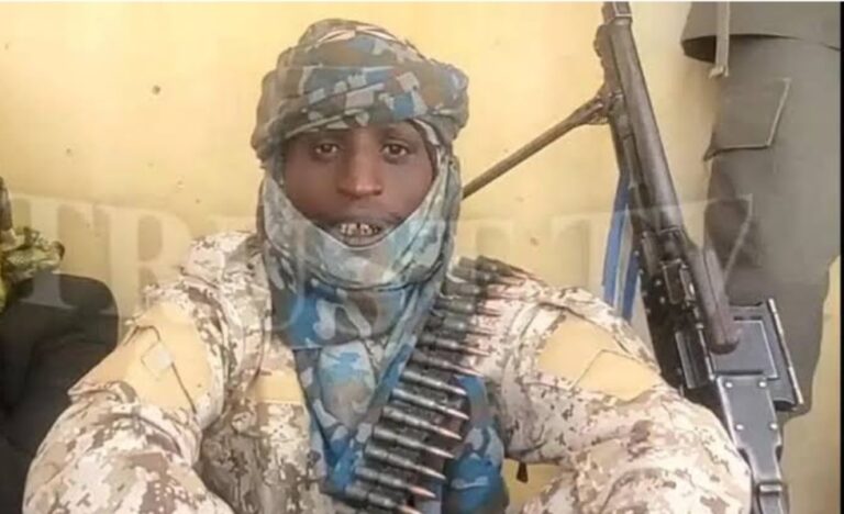 Terrorist Leader Turji Reveals People Behind Politicising Insecurity, Gives Conditions For Peace In Zamfara