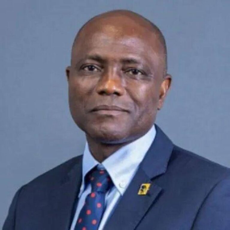 Olusegun Alebiosu: An adventurer redefining FirstBank’s legacy with Unique approach