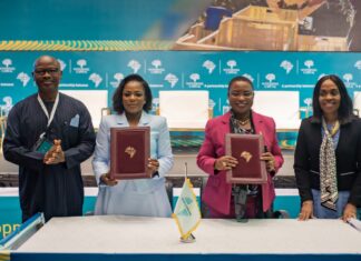 Nigeria SMEs Get Boost as Afreximbank, Woodhall Sign $25 Million Facility to Support Export Businesses