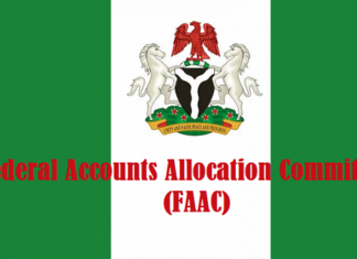 FG, States, LGAs shared N1.424trn in January 2025 – FAAC