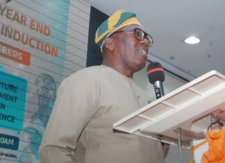 Risk Management Professionals appoint Dr. Babatunde Onadeko as Chairman Public Sector Committee