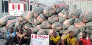 NDLEA Intercepts 1,960kg Of ‘Ghanaian Loud’ At Lagos Beach, Arrests Six Foreigners