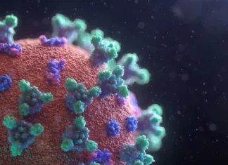 XEC COVID variant not detected in Nigeria — FG