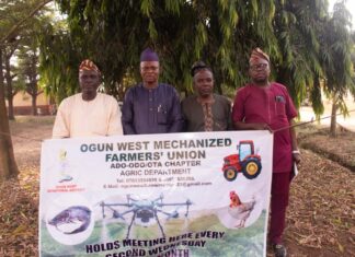 Ado Odo Ota LG, Ogun West Mechanized Farmers Join Forces To Boost Agricultural Development