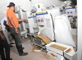 South Korean Technical Team Installs Rice Mills In Bayelsa
