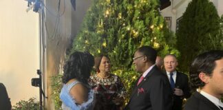 Sen. Gbenga Daniel Honored at Finland’s National Day Celebration