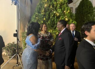Sen. Gbenga Daniel Honored at Finland’s National Day Celebration