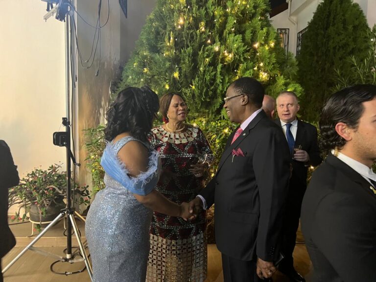 Sen. Gbenga Daniel Honored at Finland’s National Day Celebration