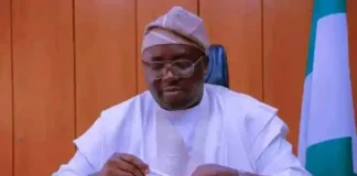 Power generation increased by 30% in 2024 – Minister Adebayo Adelabu