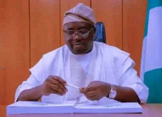 Power generation increased by 30% in 2024 – Minister Adebayo Adelabu