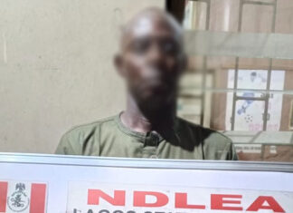 NDLEA Intercepts ₦1.1bn Worth Of Codeine, Arrests Traditional Priest In Lagos