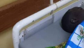 Religious Crisis: Extremists Go on Rampage, Attack Olota’s Ally, Ganiu Waheed