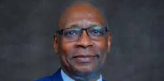 Fidelity Bank Chairman, Chike-Obi Bags Lifetime Achievement Award