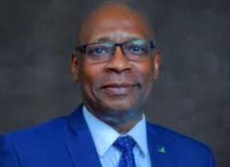 Fidelity Bank Chairman, Chike-Obi Bags Lifetime Achievement Award