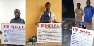 NDLEA Intercepts UK-bound Illicit Drug Consignment In Duvet At Lagos Airport