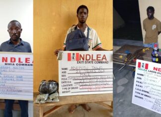 NDLEA Intercepts UK-bound Illicit Drug Consignment In Duvet At Lagos Airport